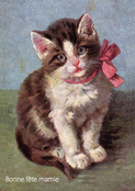 Petit chaton et douce pens&eacute;e pour mamie
